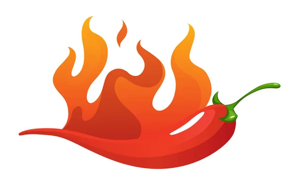 Spicy Level Hot Chili Pepper Icon Flame Color Rating Extra — Stock Vector