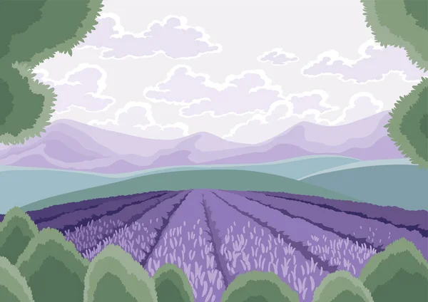 Lavendelfelder Landschaft Handgezeichnete Lila Blumen Wachsende Und Blühende Szene Wiese — Stockvektor