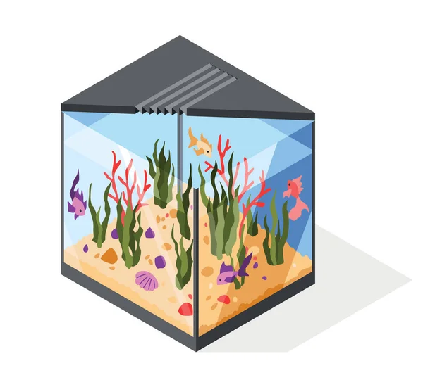 金魚と水中要素 サンゴのセットでミニマルなスタイルのアイソメトリック水族館 透明アクリルボックスを展示します ベクトルイラストショーケースガラスの白い背景 — ストックベクタ