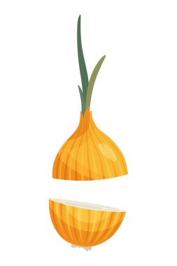 Çizgi film dilimlenmiş soğan. Taze tarım pazarı sembolleri. Organik çiftlik taze sebzelerinin vektör çizimi.