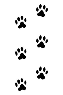 Hayvanlar ayak izleri. Kedi pençesi, yürüyen ayak silueti ya da ayak izleri. İzler beyaza izole edilmiş. Yürüyen izler patiler çizimi.