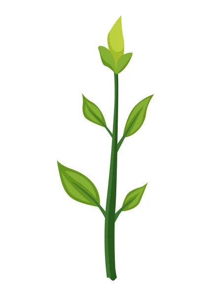 Sonnenblumen Wachstumsstadium Kleiner Austrieb Entwicklung Landwirtschaftlicher Pflanzen Fortschreitende Ernte Animation — Stockvektor