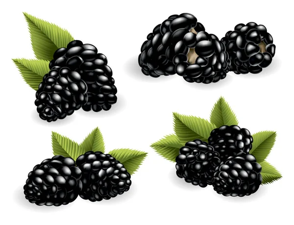 Fresh Sweet Tasty Blackberry Sweet Fruit Forest Berry Vector Icon —  Vetores de Stock