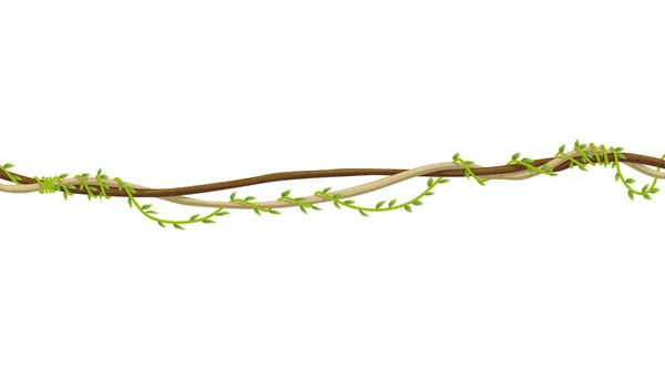Lianas Stem Border Rainforest Green Vine Twisted Plant Hanging Branch — Vetor de Stock