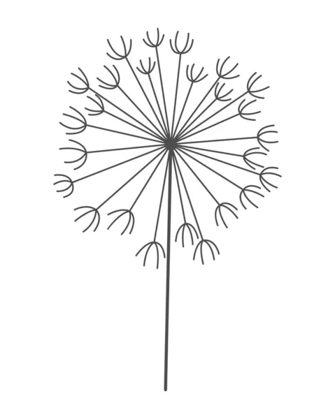 Dandelion Flower Nature Floral Hand Drawn Stylized Decorative Blooming Silhouette — Stockvector