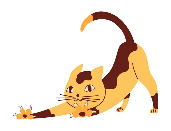 嘟嘟的猫 可爱有趣的宠物病媒图片 卡通猫咪角色的设计 可敬的动物伸展身体 — 图库矢量图片