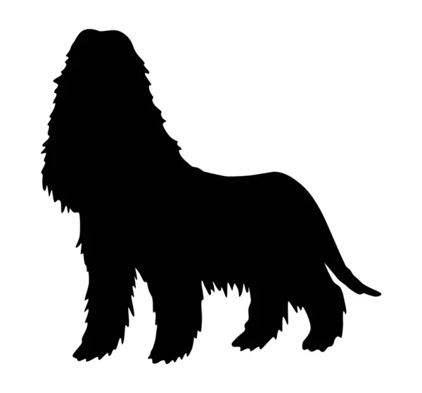 Hundesilhouette Rasse Spaniel Seitenansicht Haustierstand Symbol Schwarzer Farbe Für Hundeausstellungen — Stockvektor