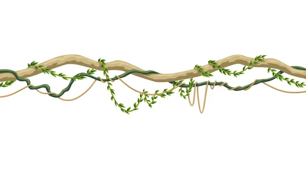 Lianas Stem Border Rainforest Green Vine Twisted Plant Hanging Branch — Stok Vektör