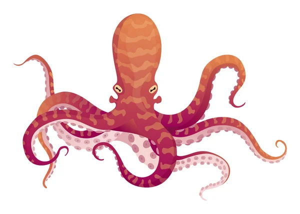 Octopus Tegneserie Flad Karakter Med Suckers Hænderne Vandlevende Fauna Ikon – Stock-vektor