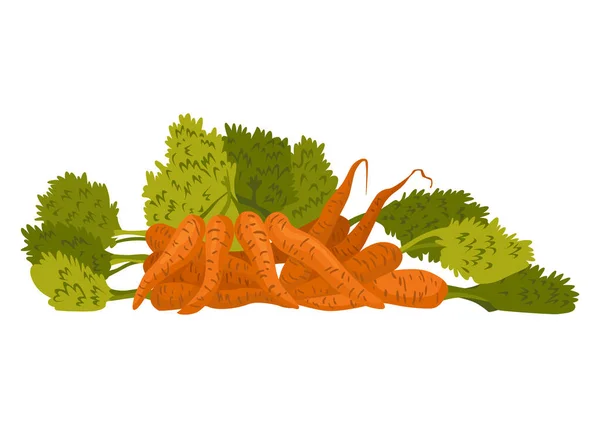 Surtido Verduras Frescas Marcador Granjeros Tienda Comestibles Tienda Residuos Cero — Vector de stock