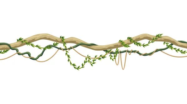 Lianas Stem Border Rainforest Green Vine Twisted Plant Hanging Branch — стоковый вектор