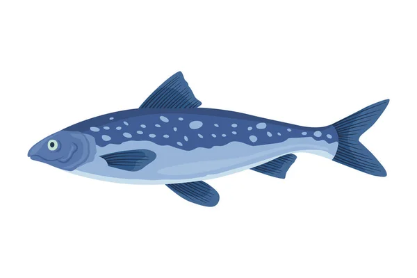 Vissoorten Types Zoetwatervissen Handgetekende Kleurenillustratie Van Binnenvissen Commerciële Vissoort — Stockvector