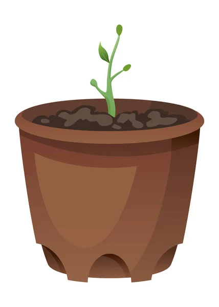 Tahap Pertumbuhan Bunga Dalam Pot Coklat Pada Latar Belakang Putih - Stok Vektor