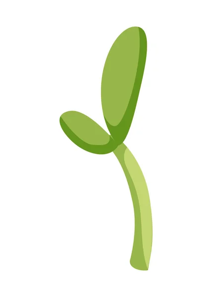 向日葵生长阶段 农业植物发展 收获动画进展阶段 — 图库矢量图片