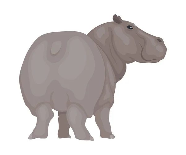 ヒッポ ヒッポパモスのキャラクター アフリカの動物 動物園 野生動物の概念 白い背景に立つ大きな灰色の野生生物 — ストックベクタ