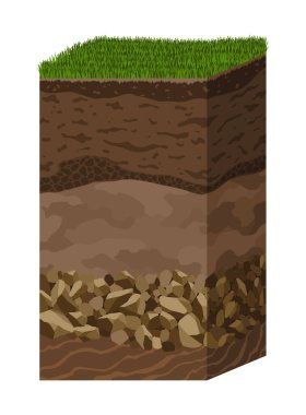 Toprak katmanları. Yüzey ufku, dünya yapısının üst katmanında organik madde, mineral ve taş karışımı içerir. Toprak ve yeraltı kil tabakası yeşil çimlerin altında.