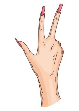 Manicure of nails. Female hand. Element for banner or business card of beauty salon, manicurist isolated on white background.