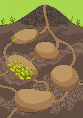 Empty anthill in section under ground. Termite nests with labyrinths. House for forest insects. Hand drawn vector illustration.