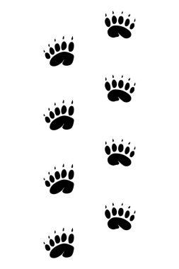 Animals feet track. Bear black paw, walking feet silhouette or footprints. Trace step imprints isolated on white. Walking tracks paws illustration.