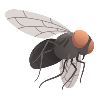 Housefly insect icon. Wildlife symbol in cartoon style. Scary insect. Graphic design element. Entomology closeup color vector illustration isolated on white background.