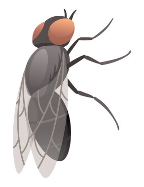 Housefly insect icon. Wildlife symbol in cartoon style. Scary insect. Graphic design element. Entomology closeup color vector illustration isolated on white background.