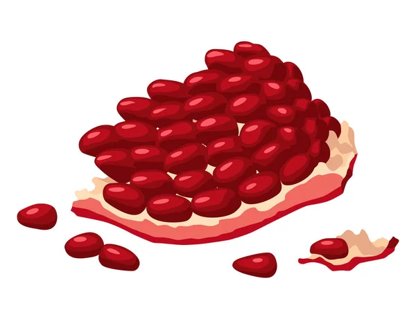 Εικόνα Από Ρόδι Κινούμενα Σχέδια Απομονωμένα Καλοκαιρινά Φρούτα Γρανάτη Ρουμπινί — Διανυσματικό Αρχείο