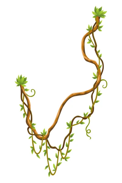 扭曲的野生藤蔓枝条横幅 藤蔓丛生植物 木质天然热带雨林 奇异植物学 木质自然分枝 — 图库矢量图片