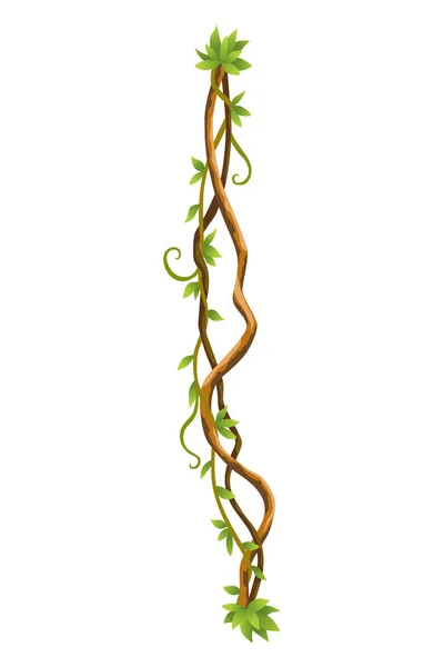 Twisted Wild Lianas Branches Banner Jungle Vine Plants Woody Natural — Vector de stock