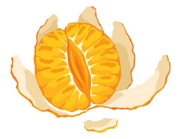 Mandarin Icon Cartoon Isolated Sweet Citrus Fruit Fresh Tropical Tangerine — Stockvector