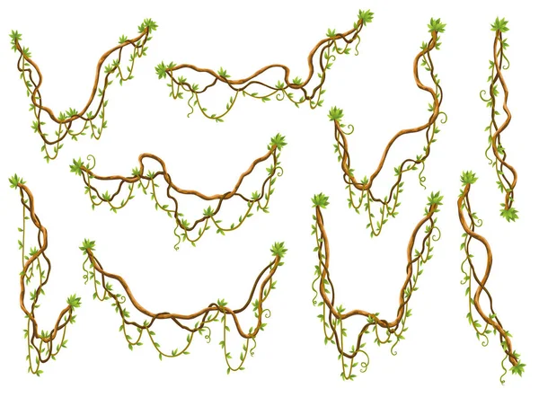 Collection Twisted Wild Lianas Branches Jungle Vine Plants Rainforest Flora — Stok Vektör