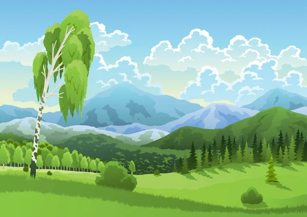 風景山 草原の牧草地と雲と青空 春の夏の森と白樺の漫画フラットパノラマ 美しい自然背景 ベクターイラスト — ストックベクタ
