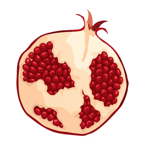 Granaatappel Icoon Cartoon Geïsoleerde Zomer Granaat Fruit Met Robijn Zaden — Stockvector