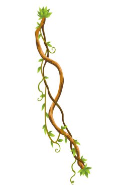 Twisted wild lianas branches banner. Jungle vine plants. Woody natural tropical rainforest, exotic botany. Woody natural branches.