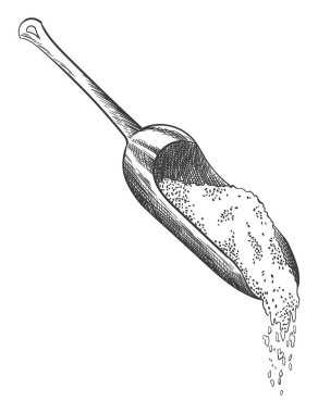 Sea salt sketch. Hand draw spice, vintage sea powder. Food ingredients to cook, isolated coloring vector illustration.