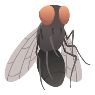 Housefly insect icon. Wildlife symbol in cartoon style. Scary insect. Graphic design element. Entomology closeup color vector illustration isolated on white background.