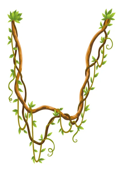ねじれた野生のリアナの枝の旗 ジャングルのつる植物 ウッディ自然熱帯雨林 エキゾチックな植物 ウッディ自然枝 — ストックベクタ