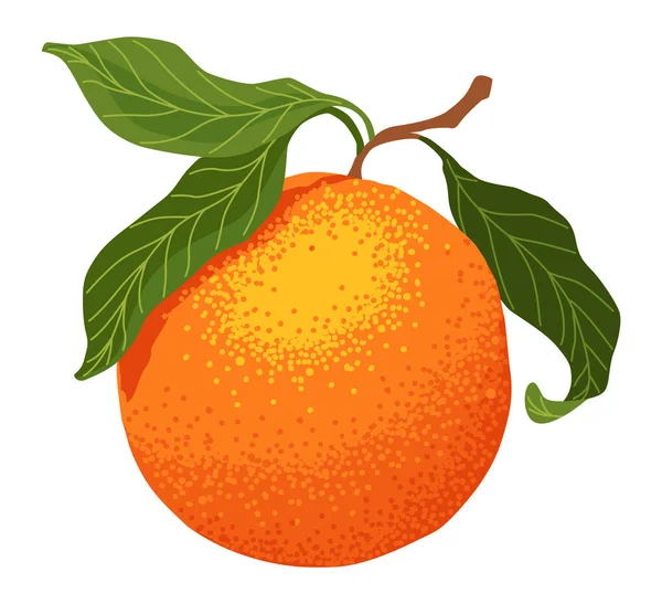 Mandarin Icon Cartoon Isolated Sweet Citrus Fruit Fresh Tropical Tangerine — Stock Vector