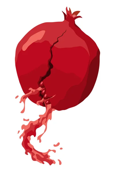 Pomegranate Icon Cartoon Isolated Summer Garnet Fruit Advertising Tropical Ripe — Vetor de Stock