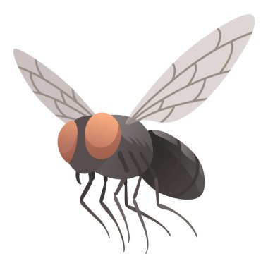 Housefly insect icon. Wildlife symbol in cartoon style. Scary insect. Graphic design element. Entomology closeup color vector illustration isolated on white background.