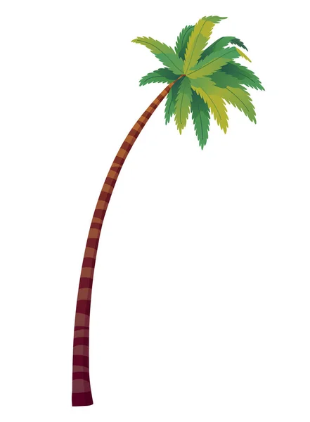 Palm Tree Green Leaves Top Trunk Exotic Fruitful Tree Vector — ストックベクタ