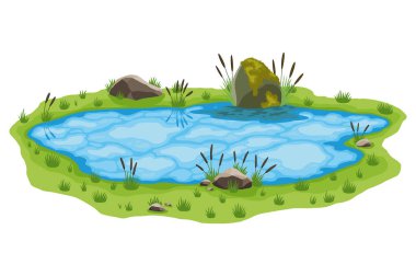 Resimli doğal gölet. Açık küçük bataklık gölü kavramı. Su birikintisi, sazlıklar ve taşlarla. Doğal kırsal alan işte. Çokrenkli oyun sahnesi.