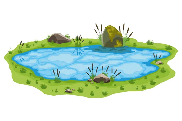 Picturesque Natural Pond Concept Open Small Swamp Lake Water Pond — Stock Vector