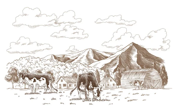 Vacas Masticando Granja Hierba Pastoreo Prado Tierra Granja Dibujada Mano — Vector de stock