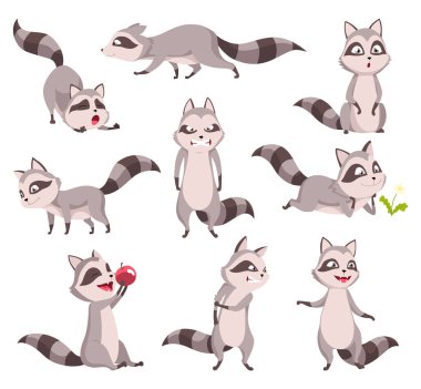 Rakun karakteri duyguları. Farklı pozlarda komik bir rakun ve sevimli memeli hayvan, çizgi film vektör seti. Beyaz arkaplanda izole edilmiş emoji tasarımı karakterleri.