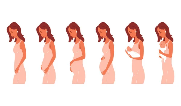 Concept Calendrier Grossesse Femme Conception Accouchement Stades Des Changements Dans — Image vectorielle