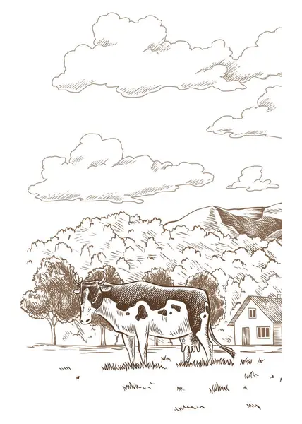 Корови Жують Траву Випасуванні Лузі Рука Намальована Ферма Землі Векторні — стоковий вектор