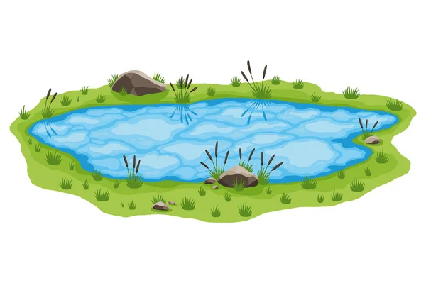 Étang Naturel Pittoresque Concept Petit Lac Marécageux Ouvert Etang Eau — Image vectorielle