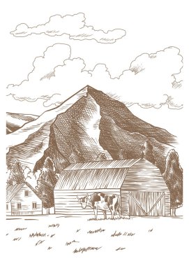 İnekler çayırda çim çiğniyor. Elle çizilmiş çiftlik arazisi ve ahır vektör çizimi. Kırsal alan, köy eskizi..