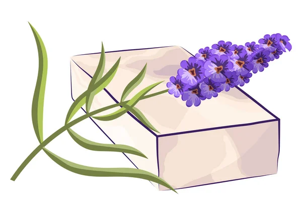Lavender Soap Bar Lavender Flower Handmade Natural Soap Fragrant Herb — Stock Vector