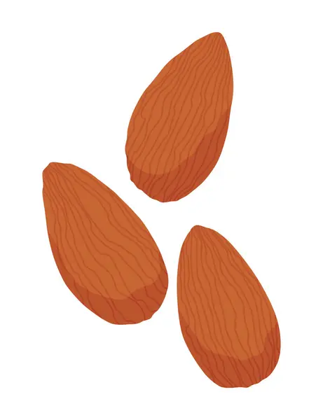 Икона Миндального Ореха Векторная Иллюстрация Белом Фоне Продукт Омега — стоковый вектор